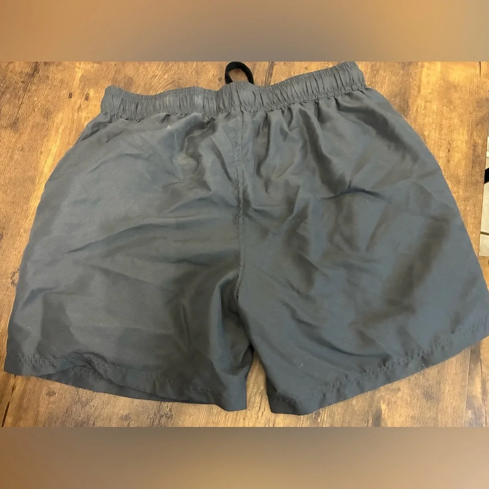 Men’s Small Dino Swim Trunks